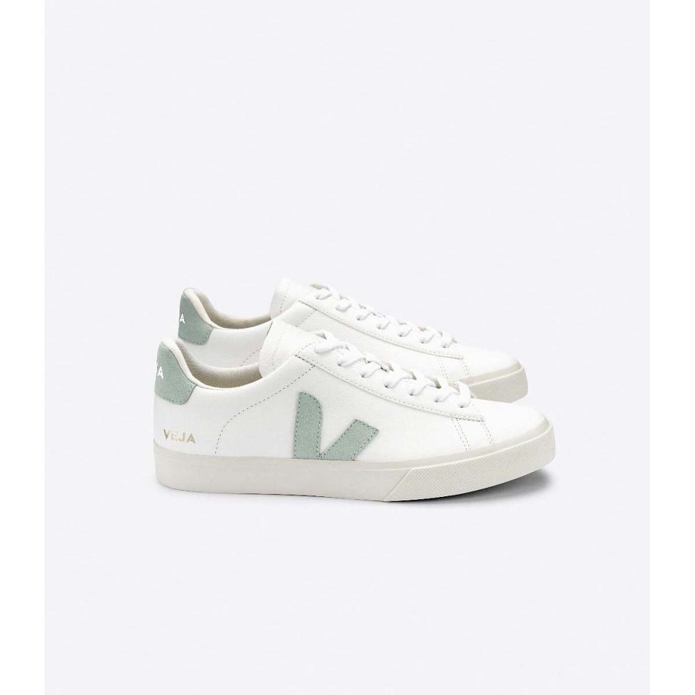 Low Tops Sneakers Barbati Veja CAMPO CHROMEFREE White/Mint | RO 295RVD